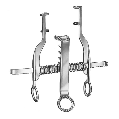 TC Lexer Fine Scissors Straight – Zainsa Instruments