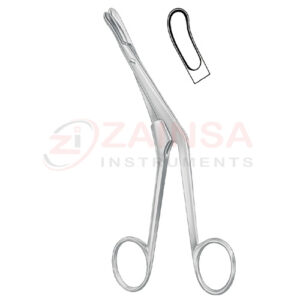 Curved Right Septum Forceps | Zainsa Instruments